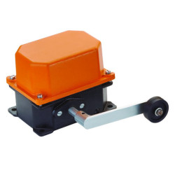LEVER LIMIT SWITCH